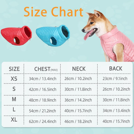 French Bulldog Vest - Frenchie Complex Shop