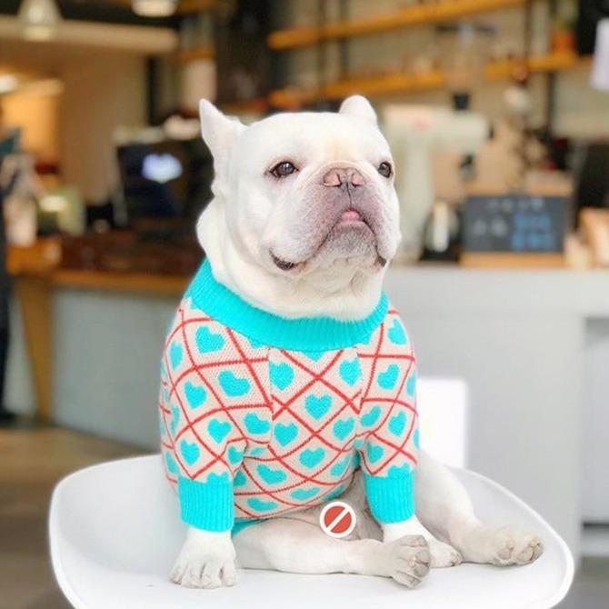 Blue Hearts French Bulldog Sweater - L - Frenchie Complex Shop