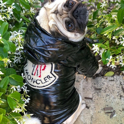 Bonecler Puffer Dog Jacket - Frenchie Complex Shop