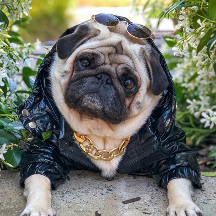 Bonecler Puffer Dog Jacket - Frenchie Complex Shop