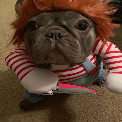 Chucky French Bulldog Costume - Frenchie Complex Shop