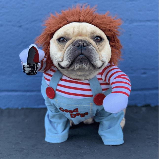 Chucky French Bulldog Costume - Frenchie Complex Shop
