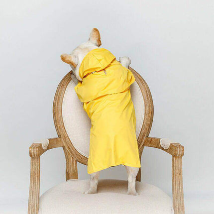 Classic French Bulldog Raincoat - Frenchie Complex Shop