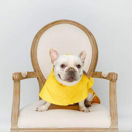 Classic French Bulldog Raincoat - Frenchie Complex Shop