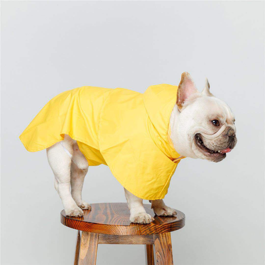 french bulldog rain jacket