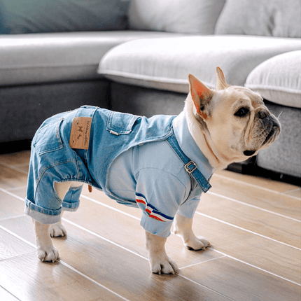 Jeans Jumpsuit for French Bulldog - Frenchie Complex Shop