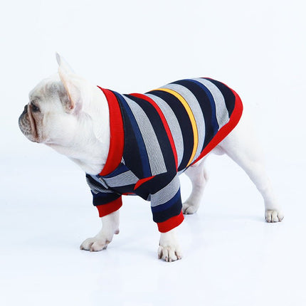 Colorful Striped Sweater - Frenchie Complex Shop