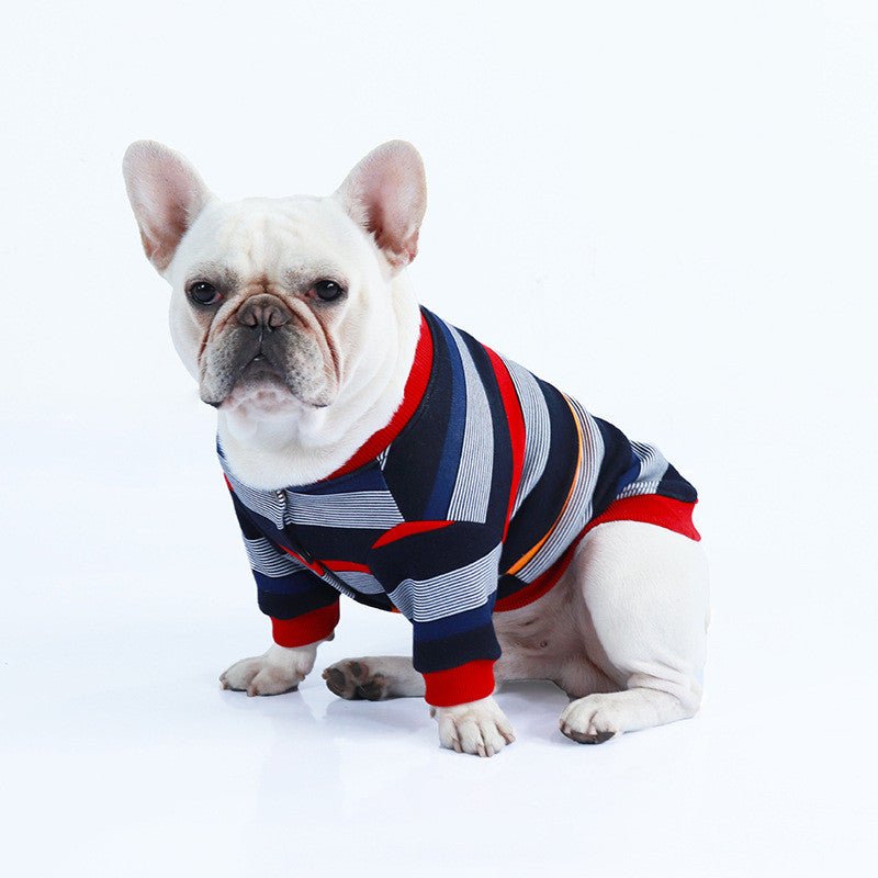 Colorful Striped Sweater - Frenchie Complex Shop