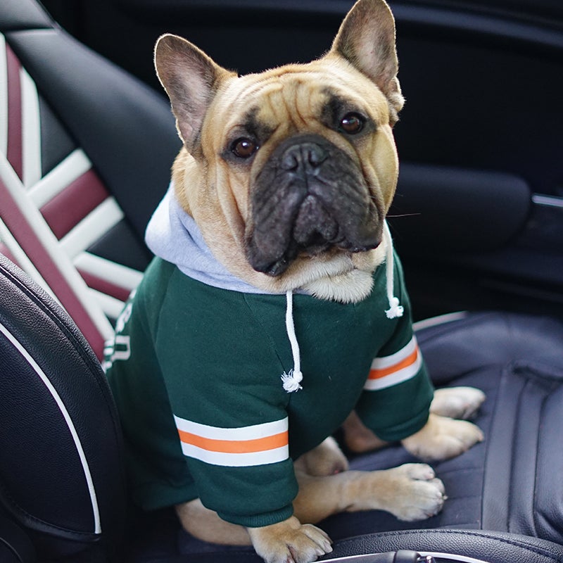 Football French Bulldog Hoodie - Frenchie Complex Shop