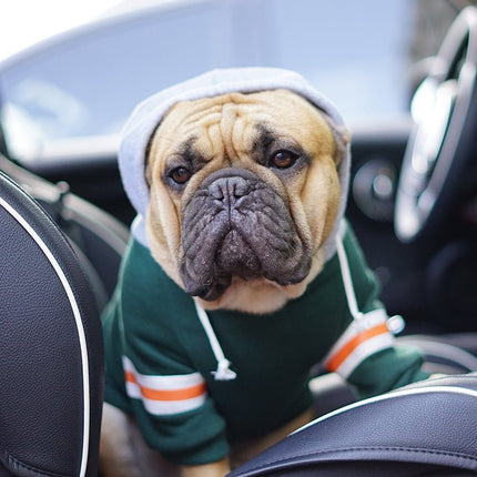 Football French Bulldog Hoodie - Frenchie Complex Shop