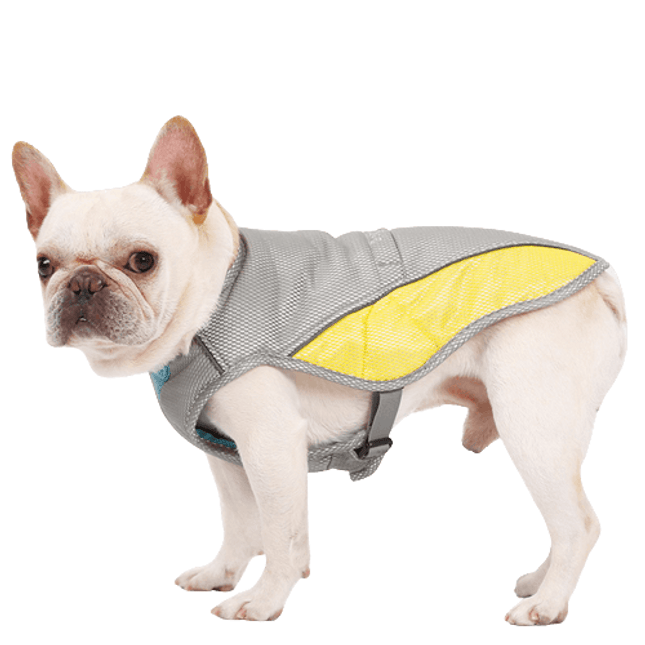 Premium French Bulldog Cooling Vest - Frenchie Complex Shop