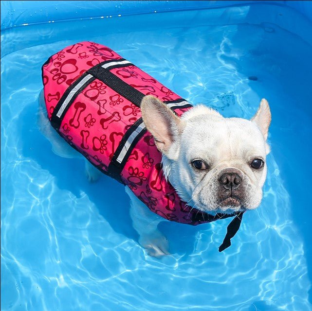 French Bulldog Life Vest - Pink / XXL - Frenchie Complex Shop