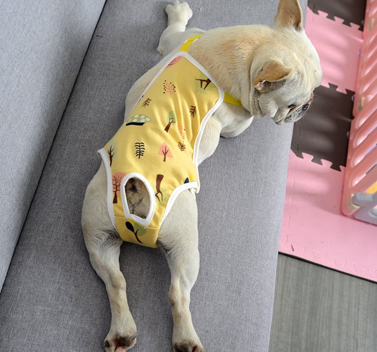 French Bulldog Menstrual Pants - Yellow / S - Frenchie Complex Shop
