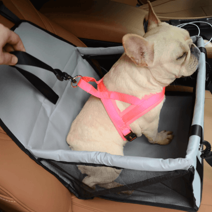 French Bulldog Car Seats - Frenchie Complex Shop