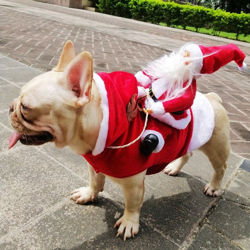 French Bulldog Christmas Costume - Red / XXL - Frenchie Complex Shop