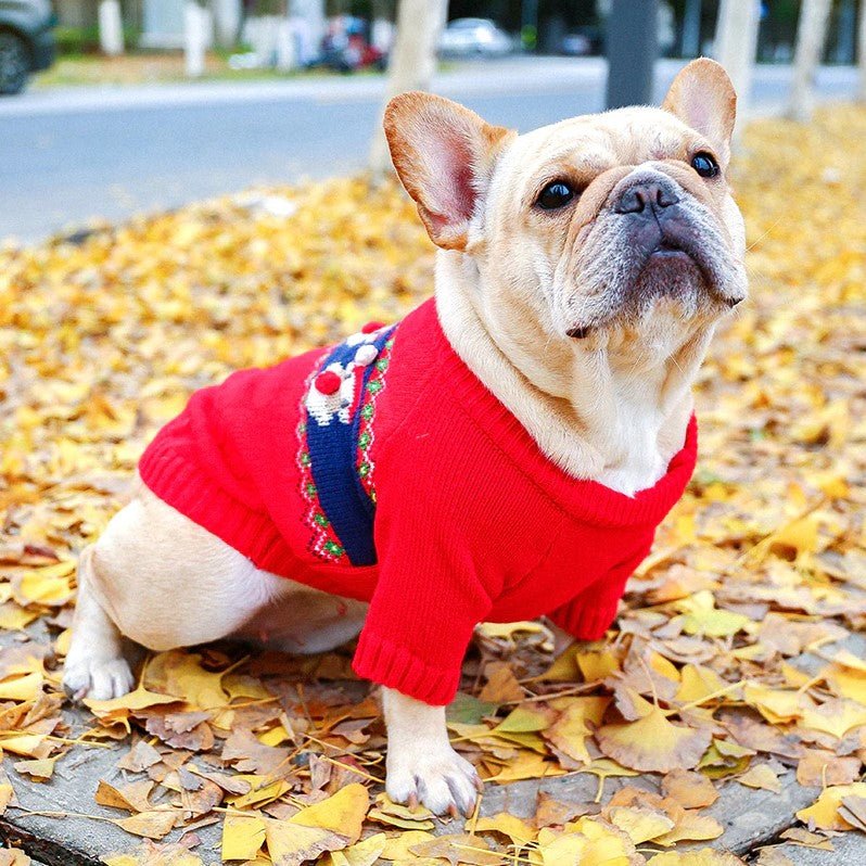 French Bulldog Christmas Sweater - Frenchie Complex Shop