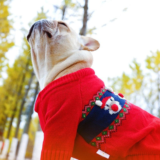 French Bulldog Christmas Sweater - Red / S - Frenchie Complex Shop