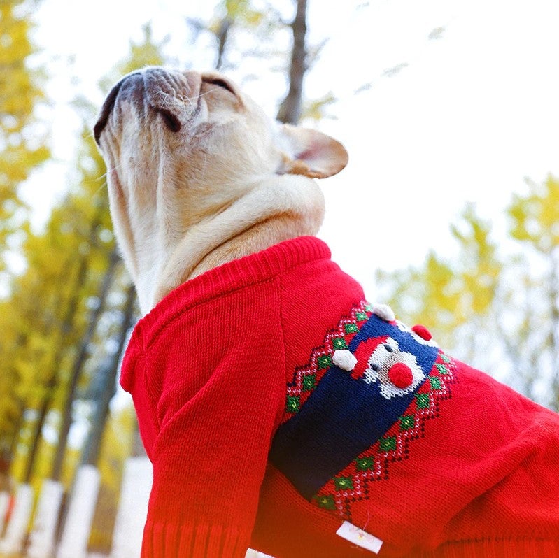 French Bulldog Christmas Sweater - Red / XL - Frenchie Complex Shop