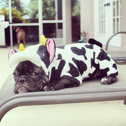 Cow French Bulldog Costume - Frenchie Complex Shop