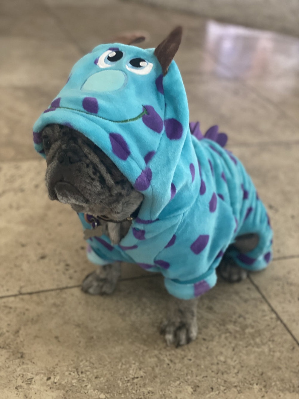 French Bulldog Dinosaur Costume - Frenchie Complex Shop