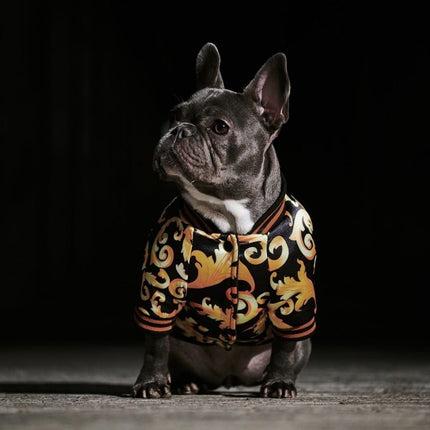 French Bulldog Gold Jacket - S - Frenchie Complex Shop