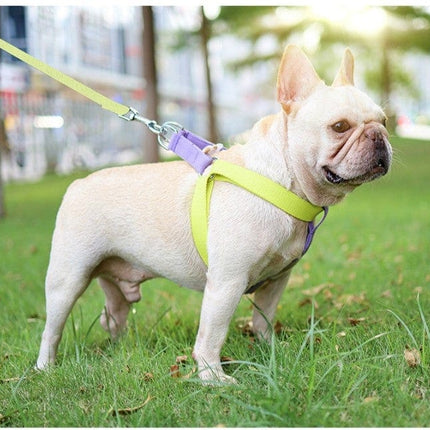 French Bulldog Harness & Leash Set - Frenchie Complex Shop