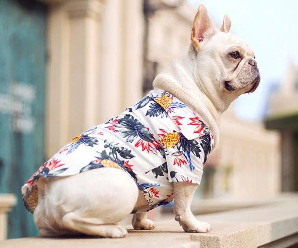 french bulldog dress shirt Bright White French Bulldog Printed Riyal Oxford Designer Shirt