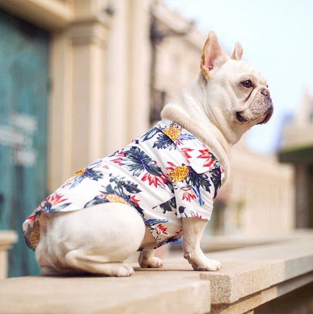 French Bulldog Hawaiian Shirts - Frenchie Complex Shop