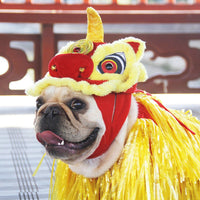 French bulldog lion clearance costume