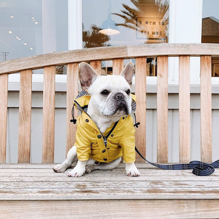 French Bulldog Raincoat - Yellow / L - Frenchie Complex Shop