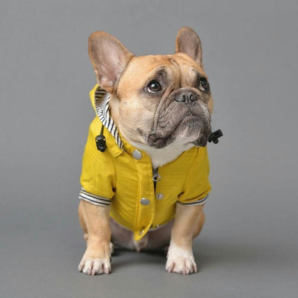 French Bulldog Raincoat - Yellow / L - Frenchie Complex Shop