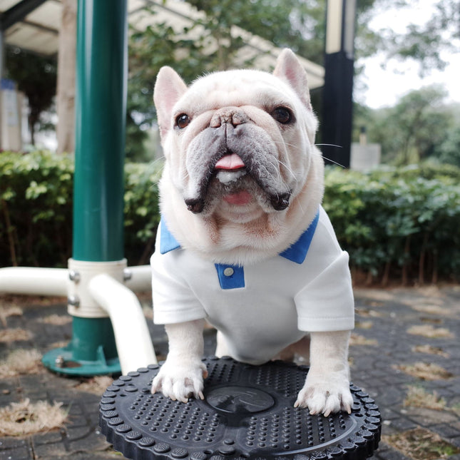 White French Bulldog Shirt - Frenchie Complex Shop