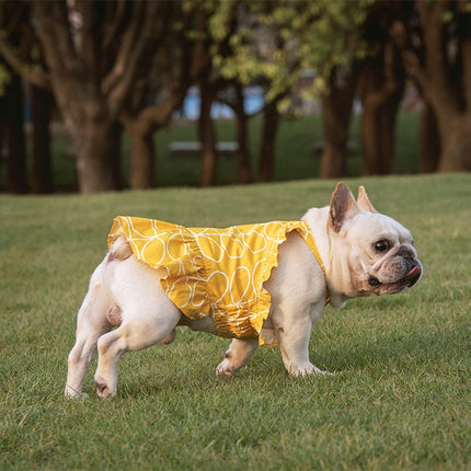 French Bulldog Summer Dress - Frenchie Complex Shop