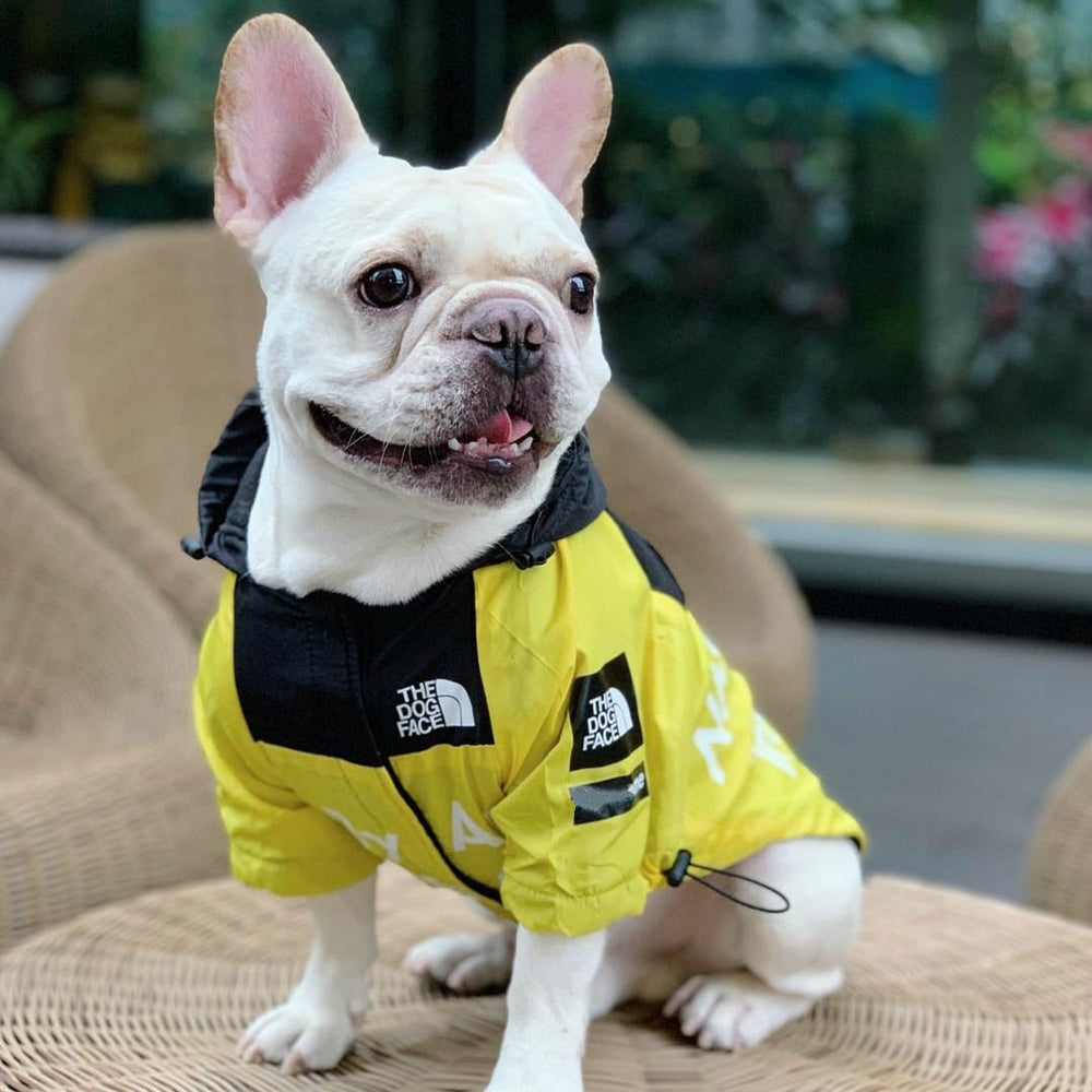 French Bulldog Waterproof Jacket - Frenchie Complex Shop