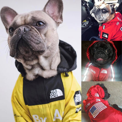 French Bulldog Waterproof Jacket - Frenchie Complex Shop
