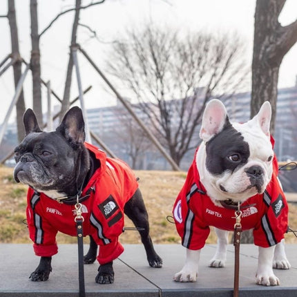 French Bulldog Waterproof Jacket - Frenchie Complex Shop