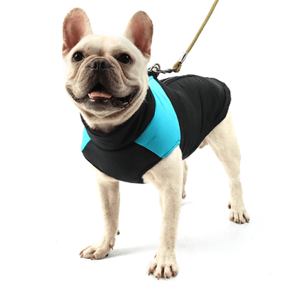French Bulldog Waterproof Vest - Blue / S - Frenchie Complex Shop
