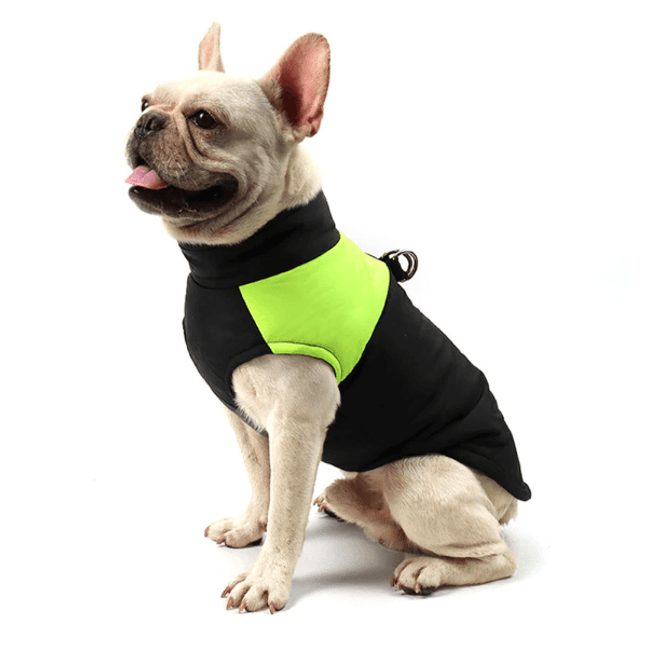 French Bulldog Waterproof Vest - Green / S - Frenchie Complex Shop