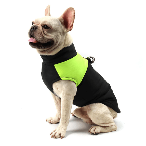 French Bulldog Waterproof Vest - Green / S - Frenchie Complex Shop