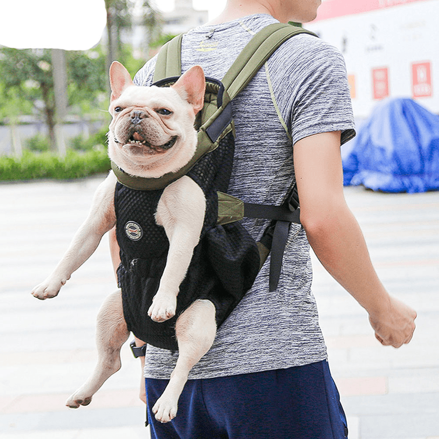 french bulldog mini backpack French Bulldog Backpack Carrier