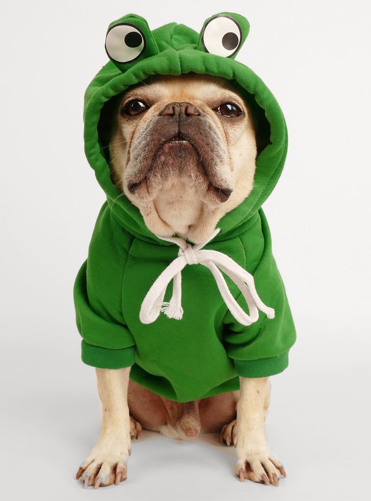 Frog French Bulldog Hoodie - Frenchie Complex Shop
