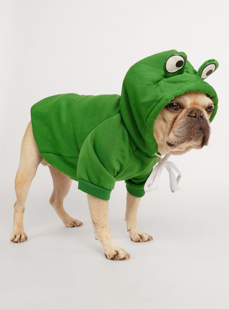 Frog French Bulldog Hoodie - Green / M - Frenchie Complex Shop