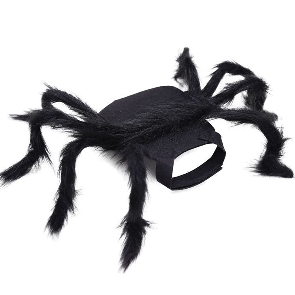Black Spider Frenchie Costume - Black / S - Frenchie Complex Shop