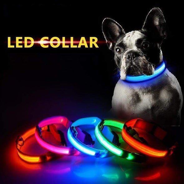 LED Dog Collar - Frenchie Complex Shop