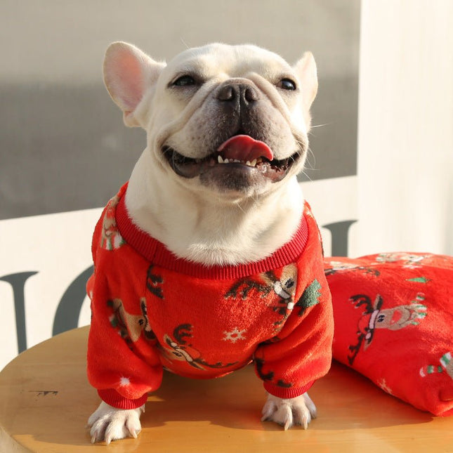 Winter Christmas Frenchie Sweater - Frenchie Complex Shop