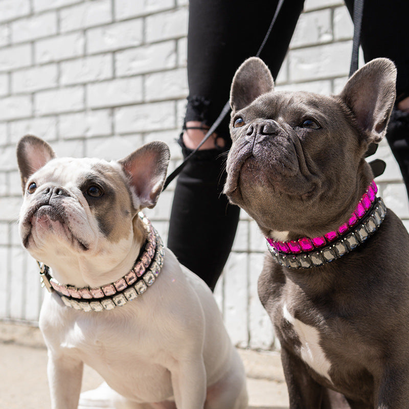 French Bulldog BB Style Luxe Days Collection Dog Collar