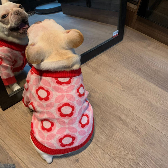 Red Flower Frenchie Sweater - Frenchie Complex Shop