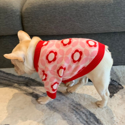 Red Flower Frenchie Sweater - Frenchie Complex Shop