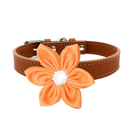 French Bulldog Collars - Flower: brown / Xs 1.5*30 - Frenchie Complex Shop