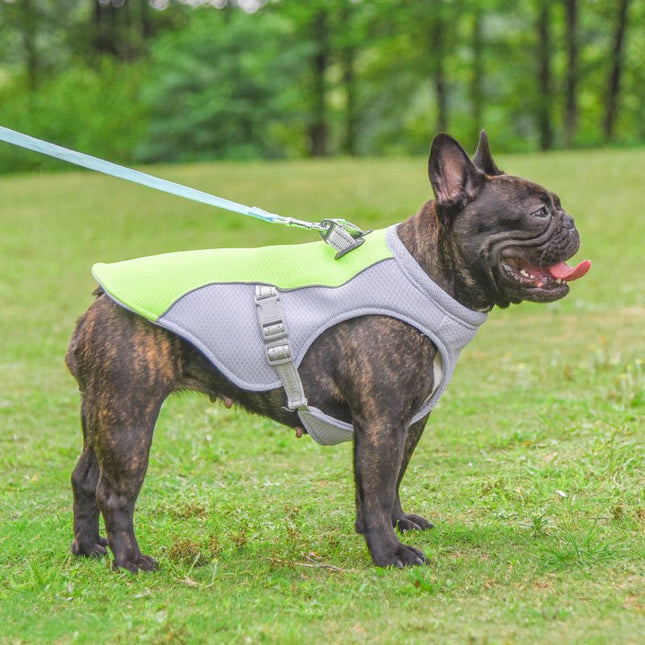 Heat Resistant French Bulldog Cooling Vest - S / Orange - Frenchie Complex Shop